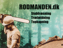 Rodmanden